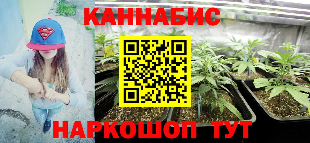 Бошки марихуана Amnesia Кувандык